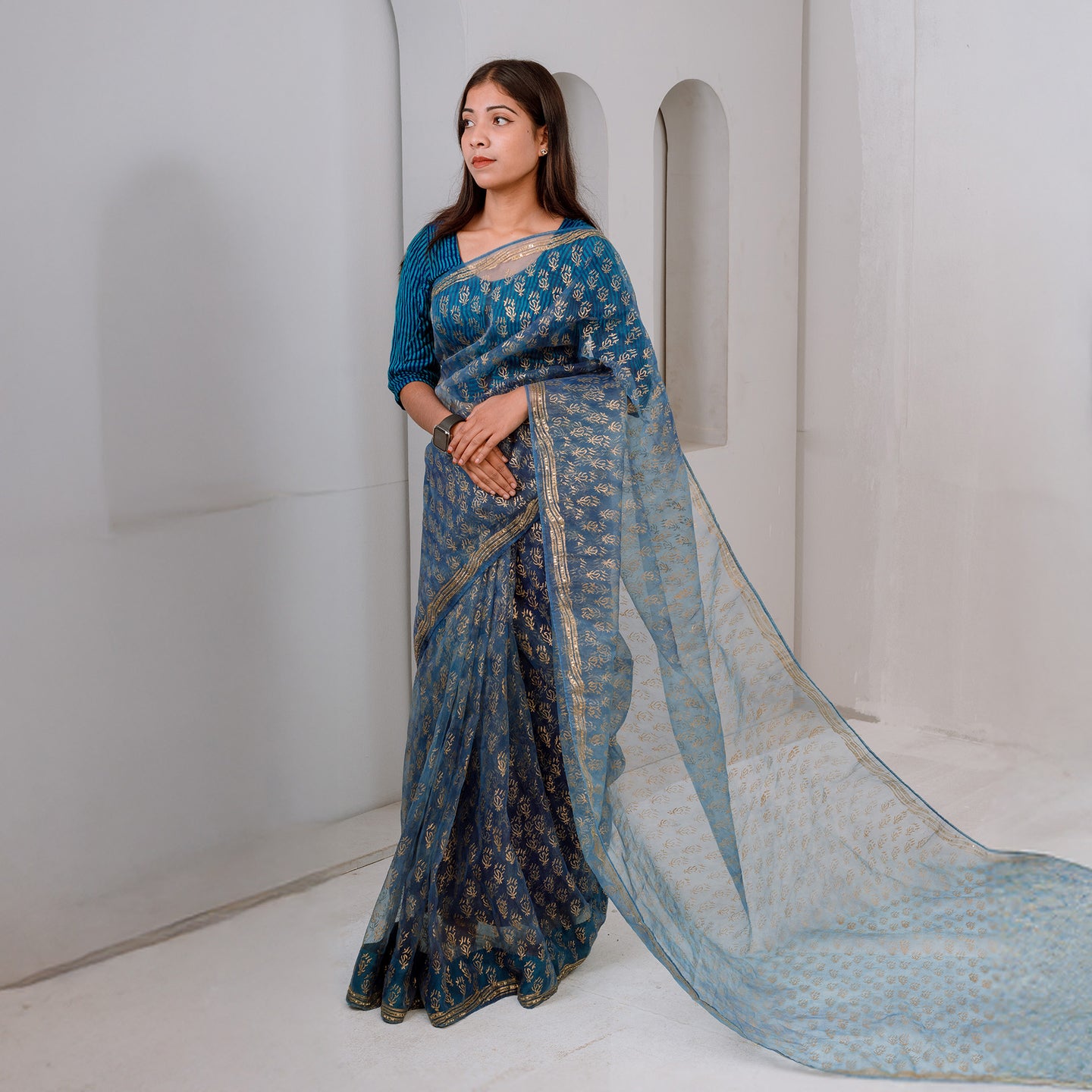 Luxury Eco GlazeX Organza Saree (Blue)